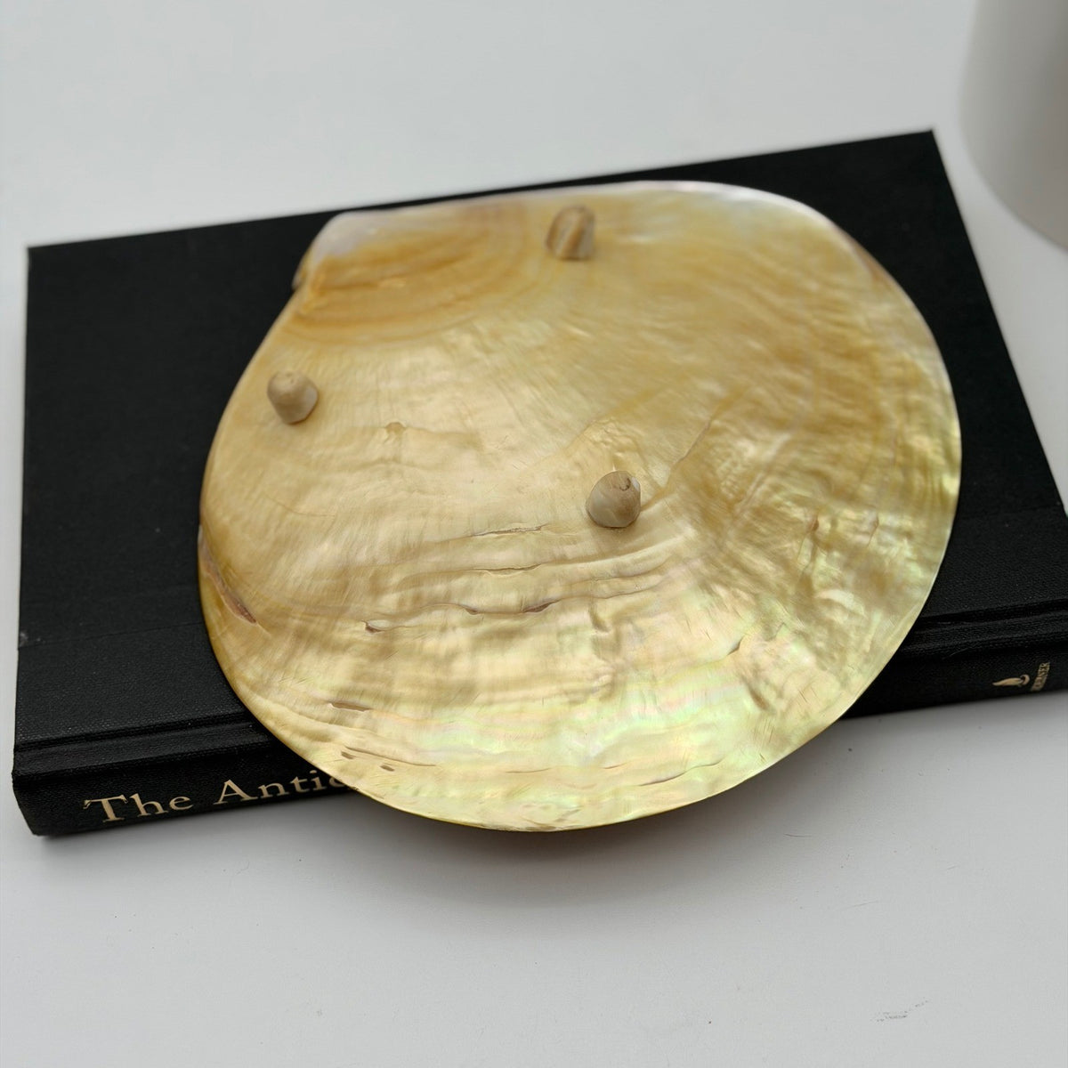 Vintage Asian Moon Scallop Shell Footed Dish Mother of Pearl Iridescent Trinket