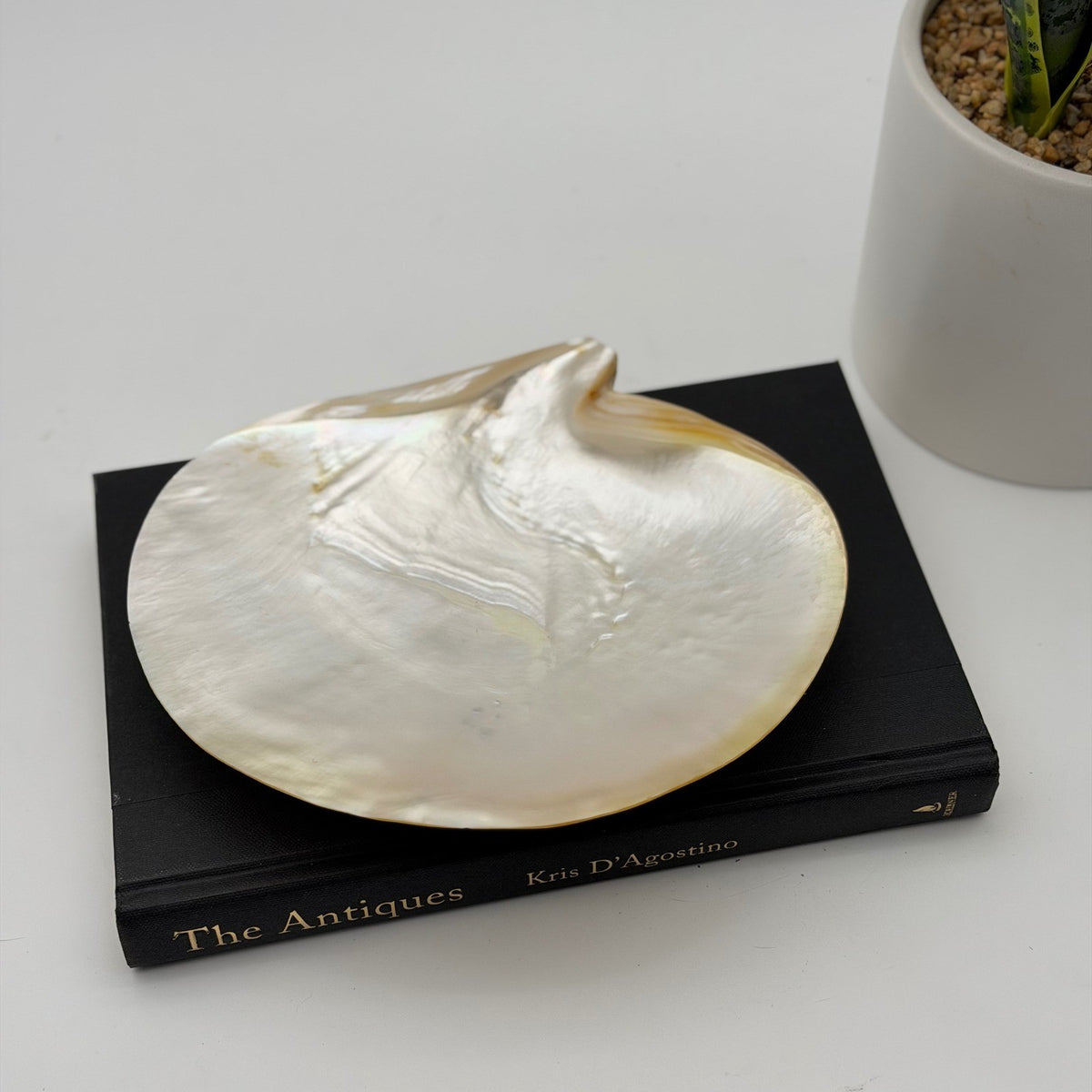 Vintage Asian Moon Scallop Shell Dish Mother of Pearl Iridescent 3 Shell Feet