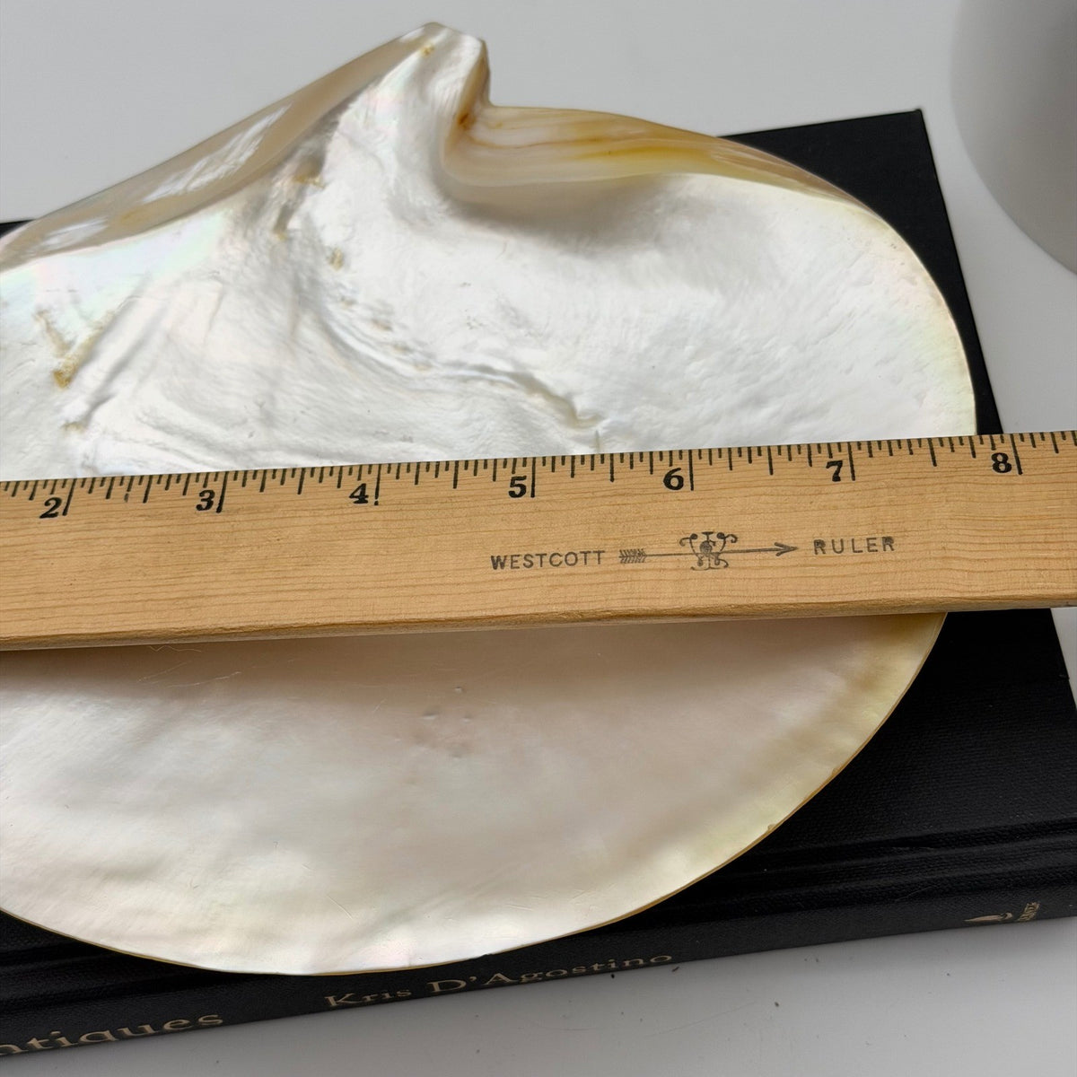 Vintage Asian Moon Scallop Shell Dish Mother of Pearl Iridescent 3 Shell Feet