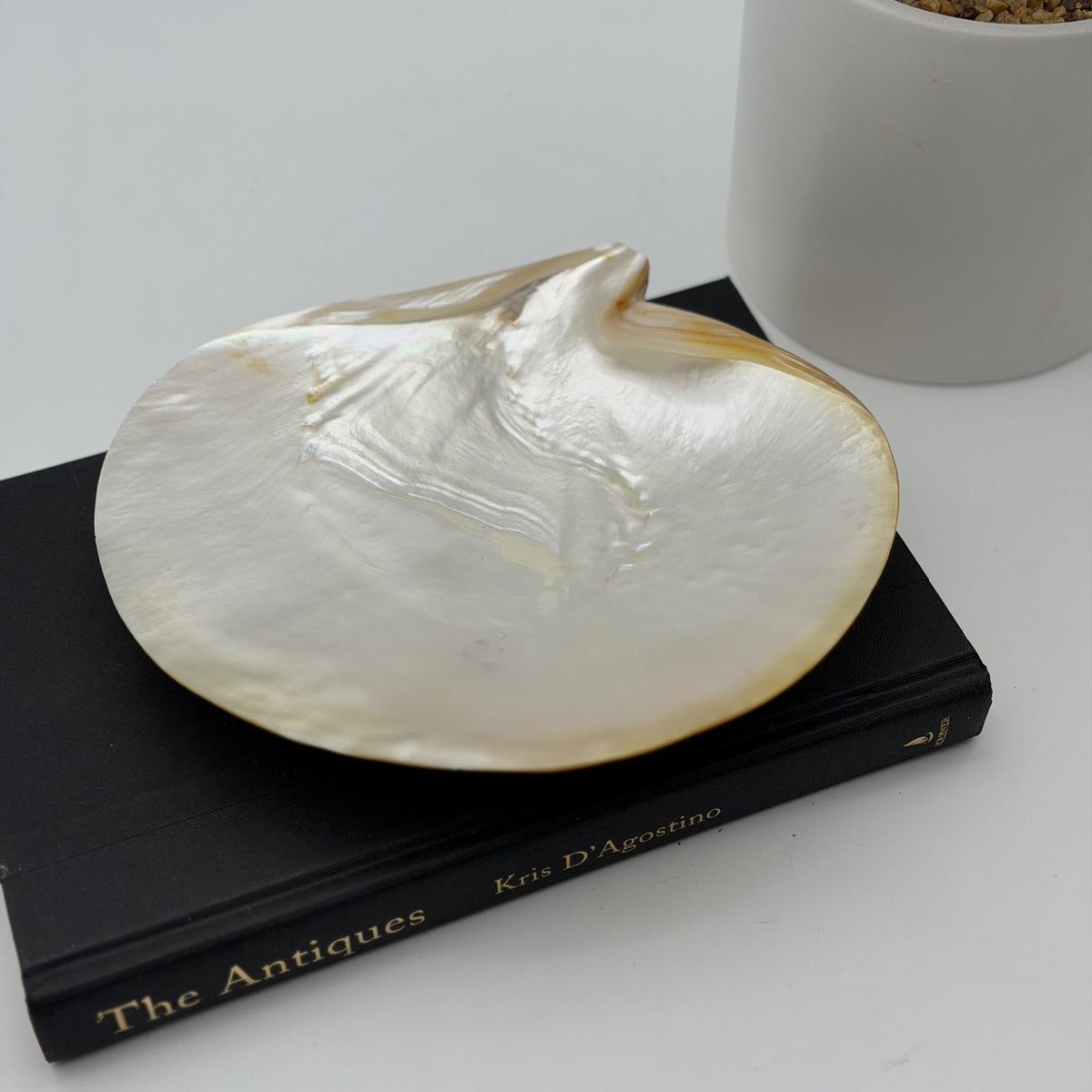 Vintage Asian Moon Scallop Shell Dish Mother of Pearl Iridescent 3 Shell Feet