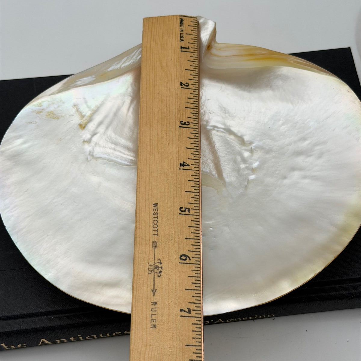 Vintage Asian Moon Scallop Shell Dish Mother of Pearl Iridescent 3 Shell Feet