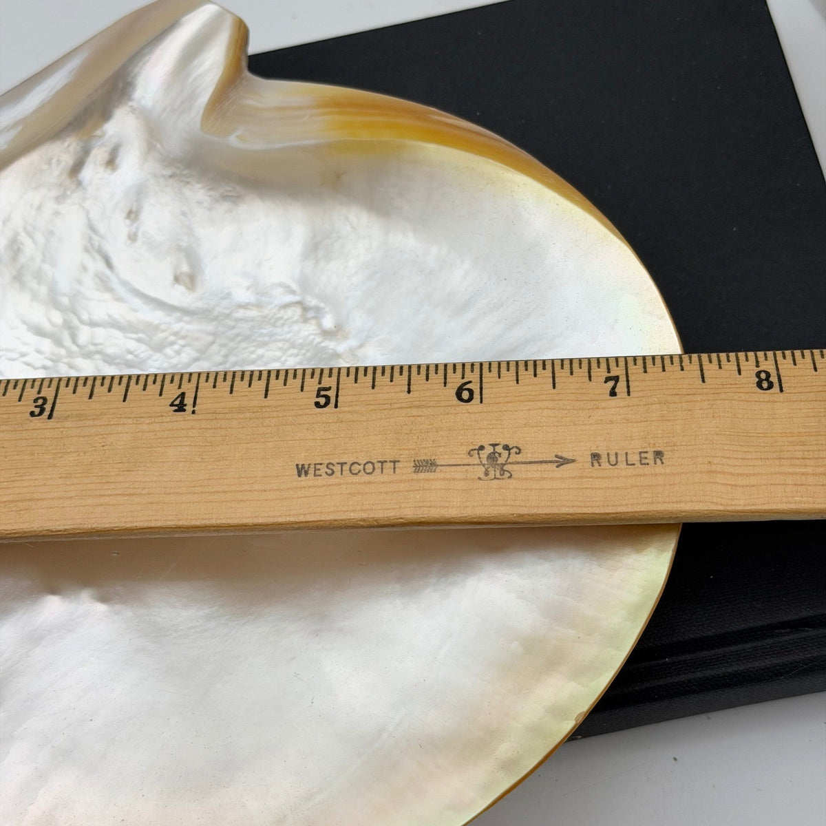 Vintage Asian Moon Scallop Shell Footed Dish Mother of Pearl Iridescent Trinket