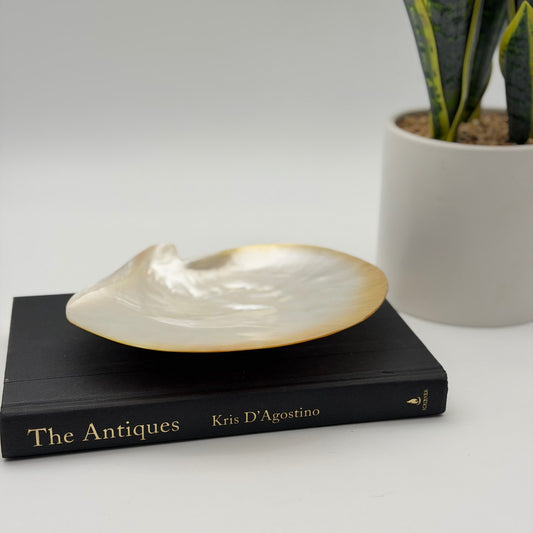 Vintage Asian Moon Scallop Shell Footed Dish Mother of Pearl Iridescent Trinket