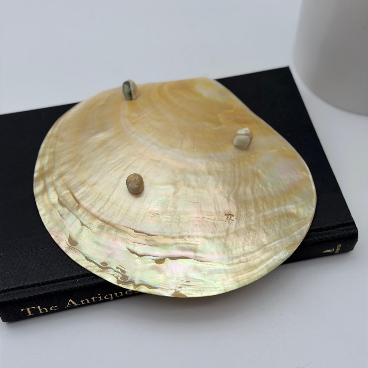 Vintage Asian Moon Scallop Shell Dish Mother of Pearl Iridescent 3 Shell Feet