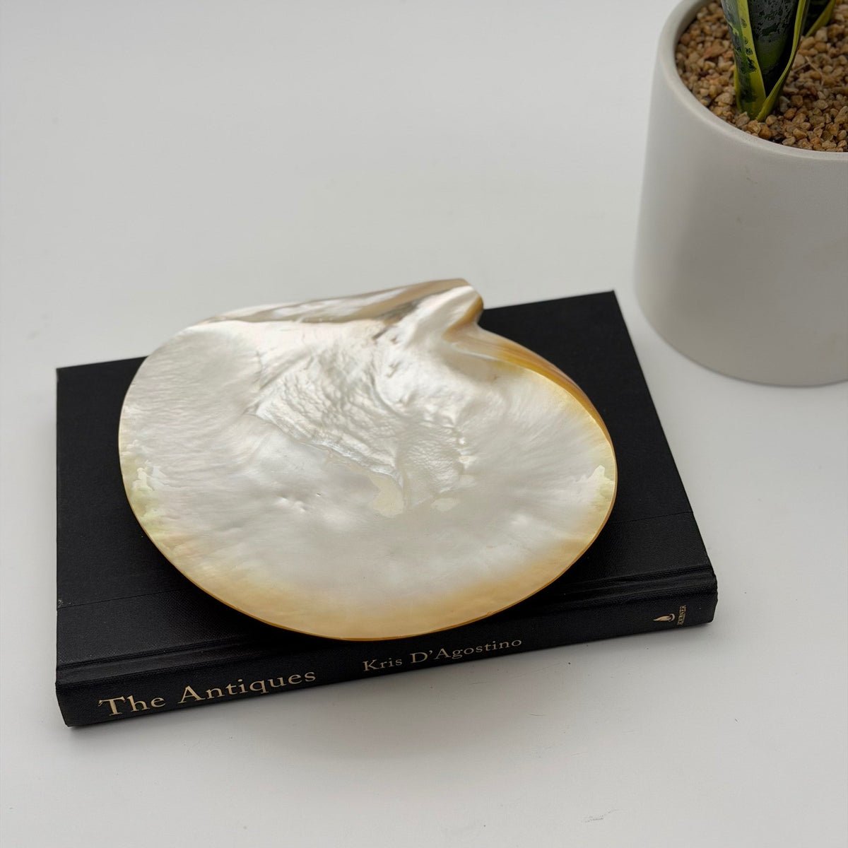 Vintage Asian Moon Scallop Shell Footed Dish Mother of Pearl Iridescent Trinket